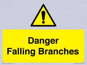 Danger Falling Branches